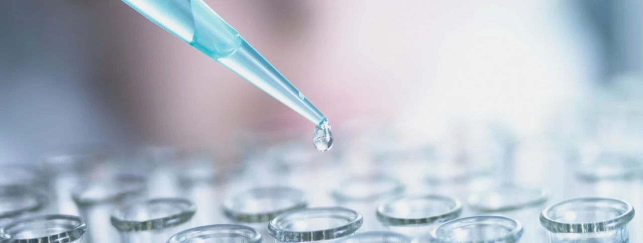 Pipett och provrör. Foto.